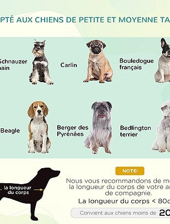 Lit pour chien chat sur pieds + parasol + sac de transport