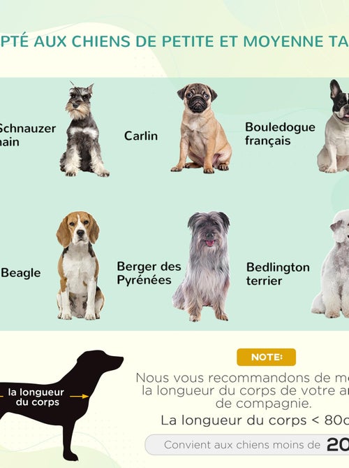 Lit pour chien chat sur pieds + parasol + sac de transport - Kiabi