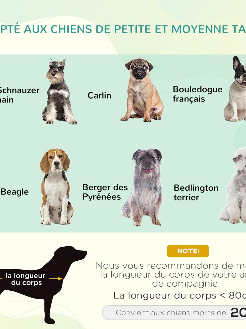 Lit pour chien chat sur pieds + parasol + sac de transport Gris - Kiabi