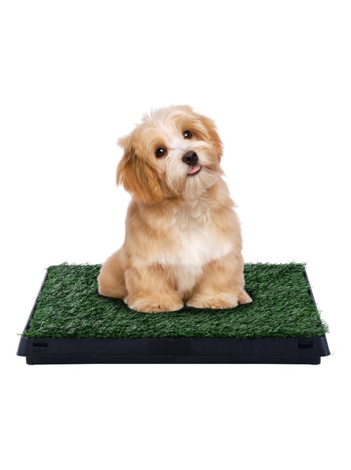 Litière gazon synthétique chiens 63L x 51l x 6H cm vert noir - Kiabi
