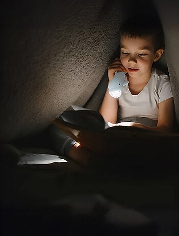 Little L | Lampe torche animaux en silicone pour enfants
