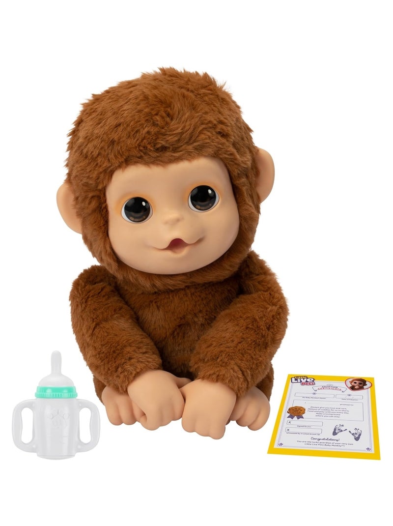 Little Live Pets - Mon bébé singe Marron - Kiabi