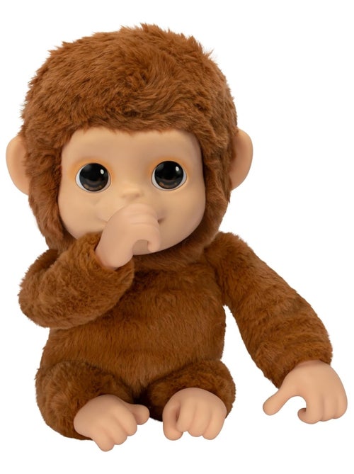 Little Live Pets - Mon bébé singe - Kiabi