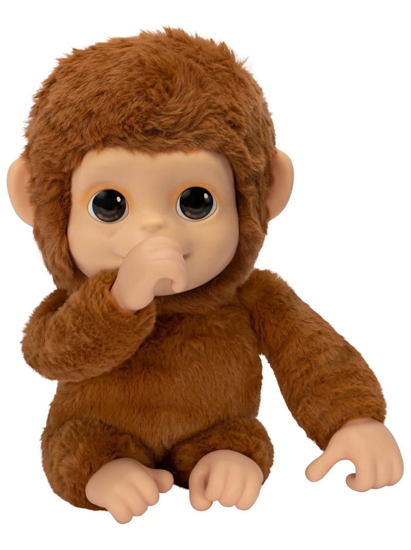 Little Live Pets - Mon bébé singe Marron - Kiabi