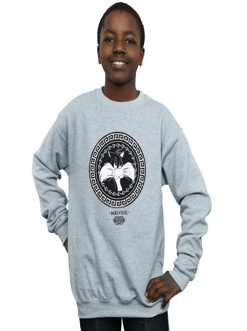 Looney Tunes - Sweat Gris chiné - Kiabi