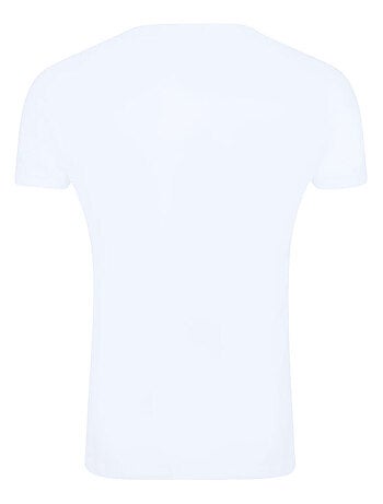 Looney Tunes - T-shirt motif Diable de Tasmanie style rétro (Diable de Tasmanie)