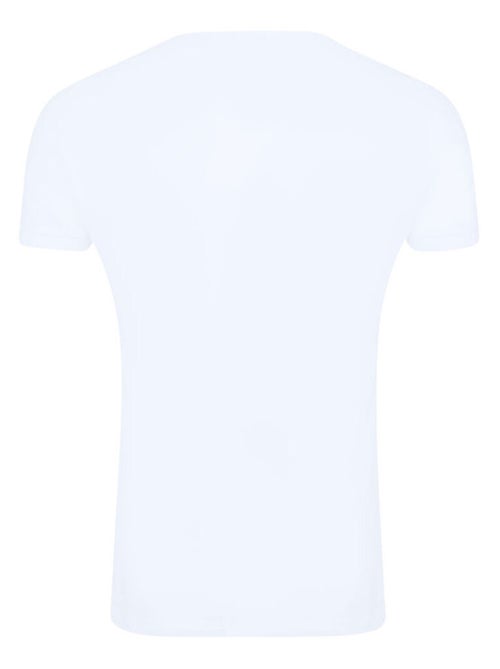 Looney Tunes - T-shirt motif Diable de Tasmanie style rétro (Diable de Tasmanie) - Kiabi