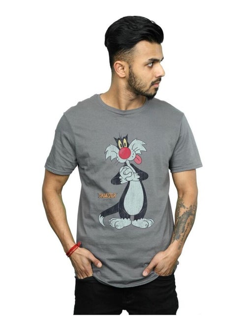 Looney Tunes - T-shirt motif Grosminet motif/style usé - Kiabi