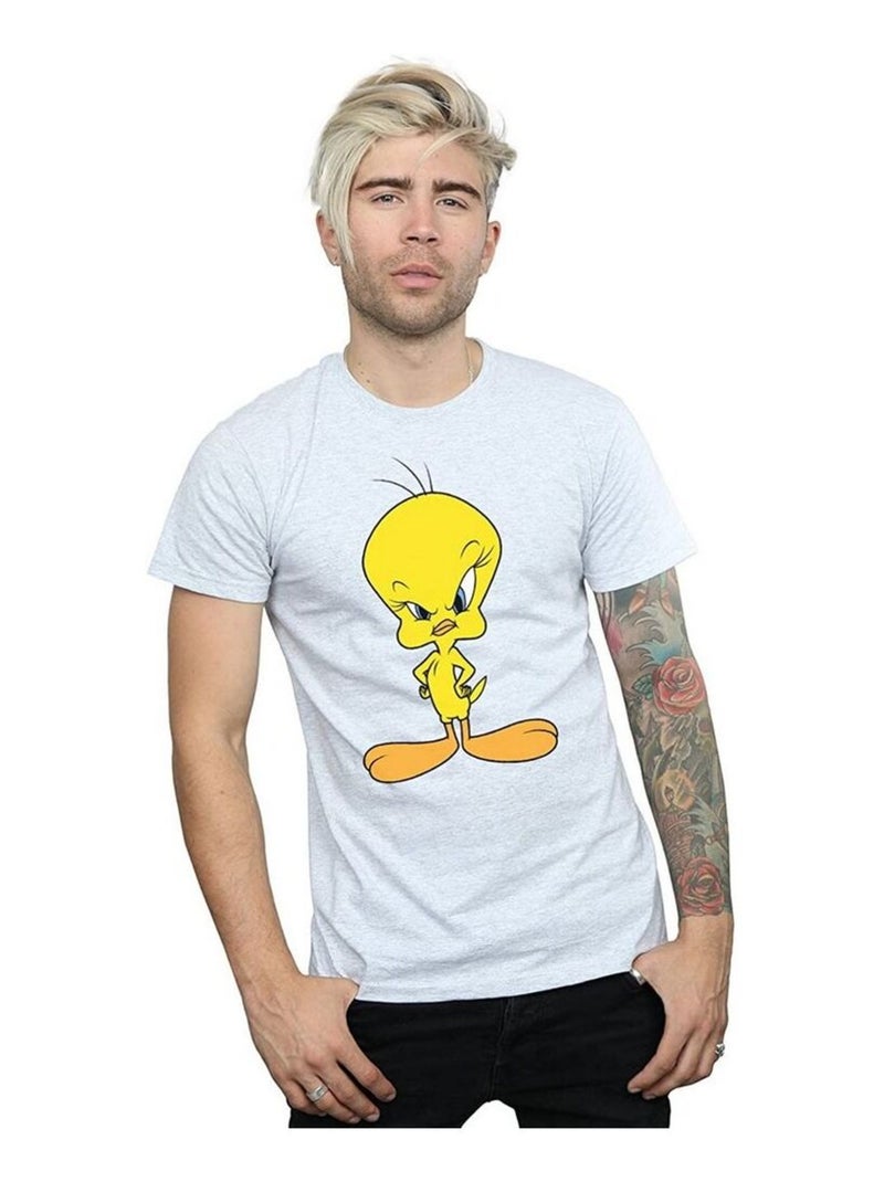 Looney Tunes - T-shirt motif Titi ANGRY (Titi) Gris chiné - Kiabi
