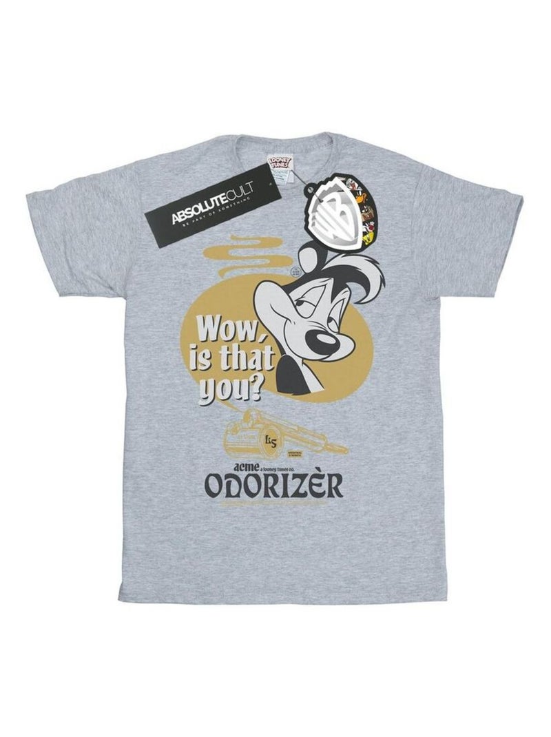 Looney Tunes - T-shirt ODORIZER Gris chiné - Kiabi