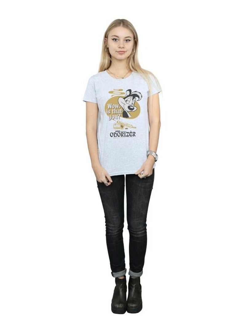 Looney Tunes - T-shirt ODORIZER Gris chiné - Kiabi