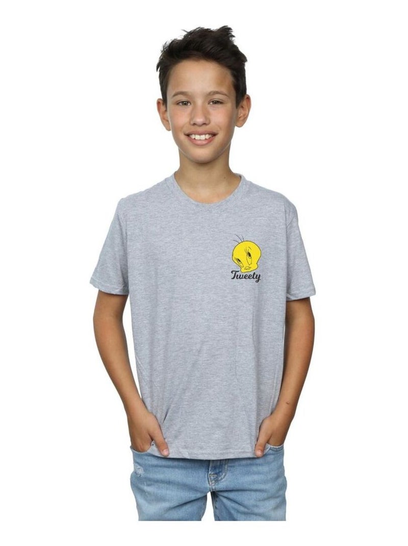 Looney Tunes - T-shirt TWEETY PIE HEAD Gris chiné - Kiabi