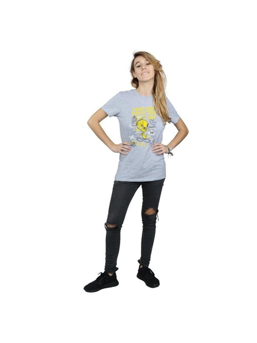Looney Tunes - T-shirt TWEETY PIE MORE PUDDY TATS - Kiabi