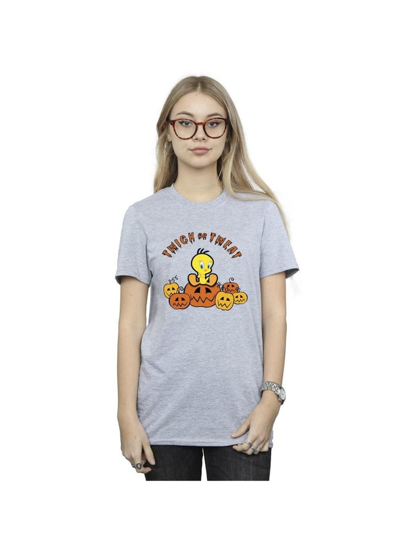 Looney Tunes - T-shirt TWICK OR TWEAT Gris chiné - Kiabi