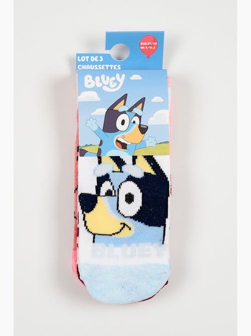 Lot 3 Chaussettes Basses Bluey   | Licence Officielle - Kiabi