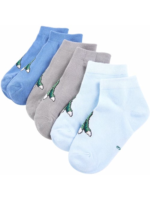 Lot 5 chaussettes coton imprimé dinosaure clair - vidaxl - Kiabi