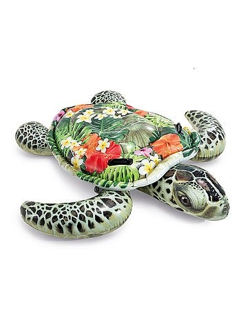 ?lot aquatique Tortue de mer
