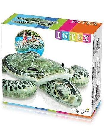 ?lot aquatique Tortue de mer