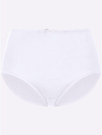 Lot de 10 - Slip Taille Haute Jersey Fin - Taille Standard - Witt
