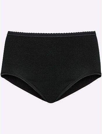 Lot de 10 - Slip Taille Haute Jersey Fin - Taille Standard - Witt