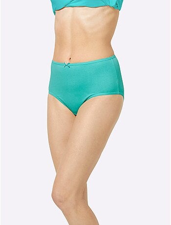 Lot de 10 - Slip Taille Haute Jersey Fin - Taille Standard - Witt