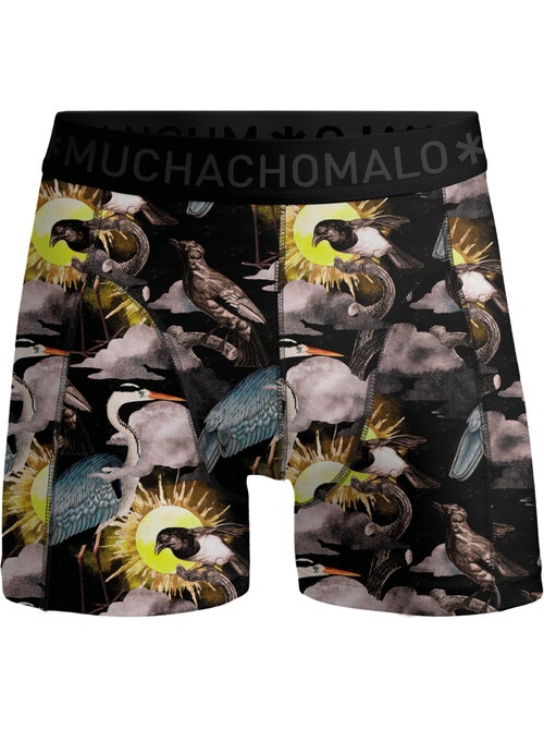 Lot de 10 boxers homme Muchachomalo - Kiabi