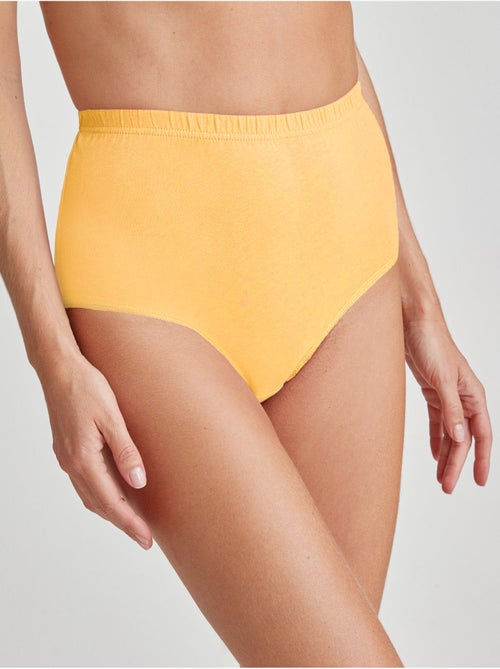 Lot de 10 culottes pur coton - DAXON - Kiabi