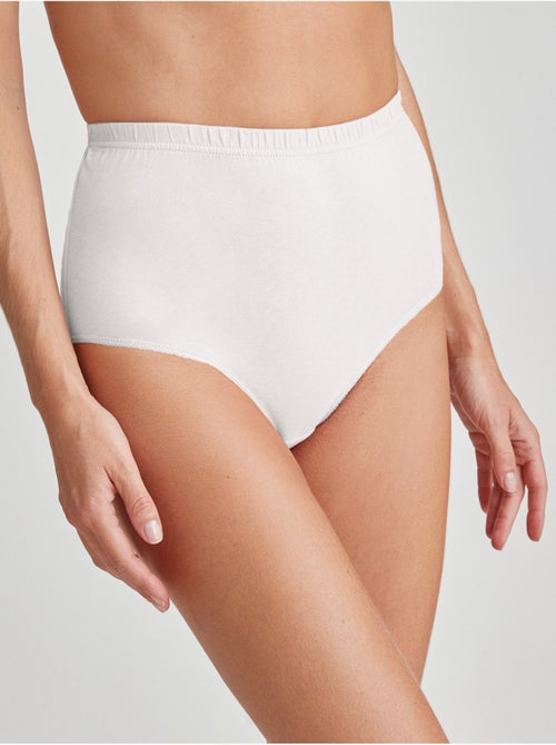 Lot de 10 culottes pur coton - DAXON - Kiabi