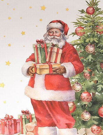 Lot de 12 assiettes de présentation PÈRE NOËL