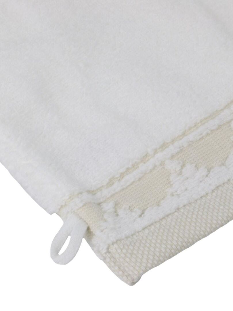 Gant de toilette en microfibre - France