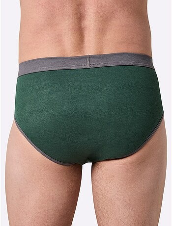 Lot de 2 - slip côtes fines - taille standard - witt