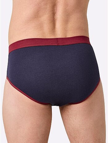 Lot de 2 - slip côtes fines - taille standard - witt