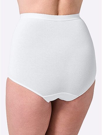 Lot de 2 - Slip Formant Jersey Fin - Taille Standard - Witt