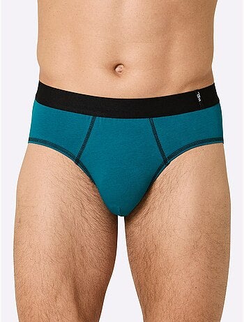 Lot de 2 - slip jersey fin - taille standard - witt
