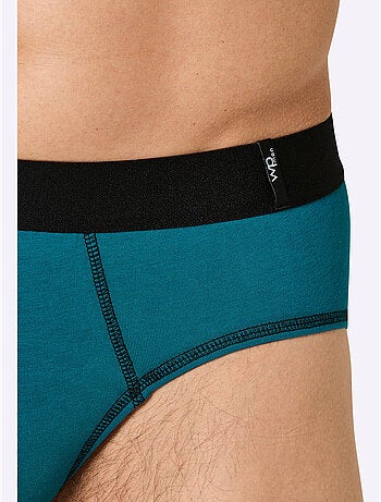 Lot de 2 - slip jersey fin - taille standard - witt