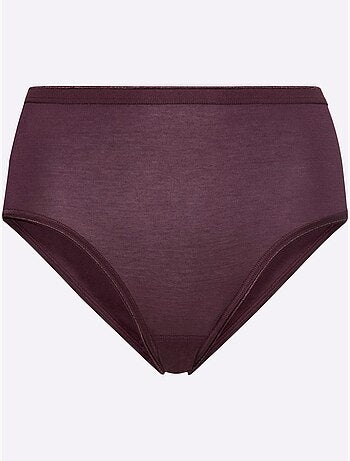 Lot de 2 - Slip Jersey Fin - Taille Standard - Witt