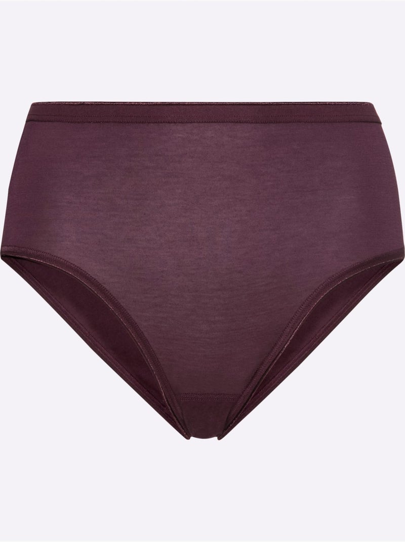 Lot de 2  - Slip Jersey Fin - Taille Standard - Witt Violet aubergine - Kiabi