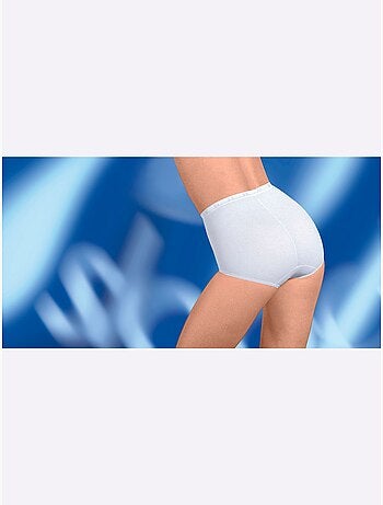 Lot de 2 - Slip Taille Haute Jersey Fin - Taille Standard - Witt