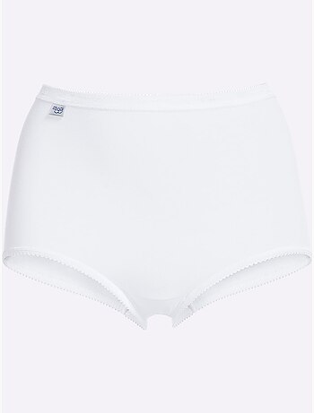 Lot de 2 - Slip Taille Haute Jersey Fin - Taille Standard - Witt
