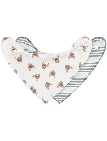 Lot de 2 Bavoirs Bandanas 0-24 mois Tiny Team Dog