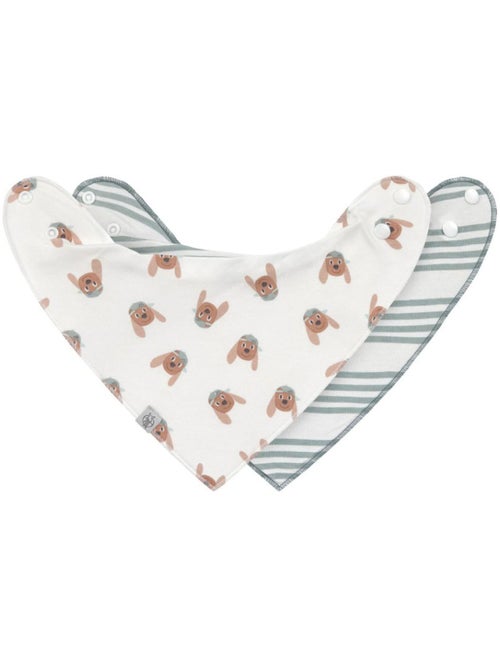 Lot de 2 Bavoirs Bandanas 0-24 mois Tiny Team Dog - Kiabi