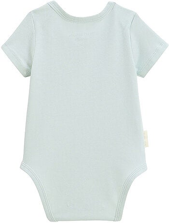 Lot de 2 bodies bébé manches courtes Bento