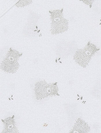 Lot de 2 bodies croisés en jersey coton bio Noukie's