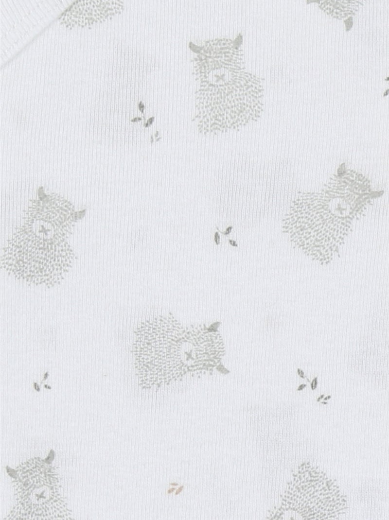 Lot de 2 bodies croisés en jersey coton bio Noukie's Blanc - Kiabi