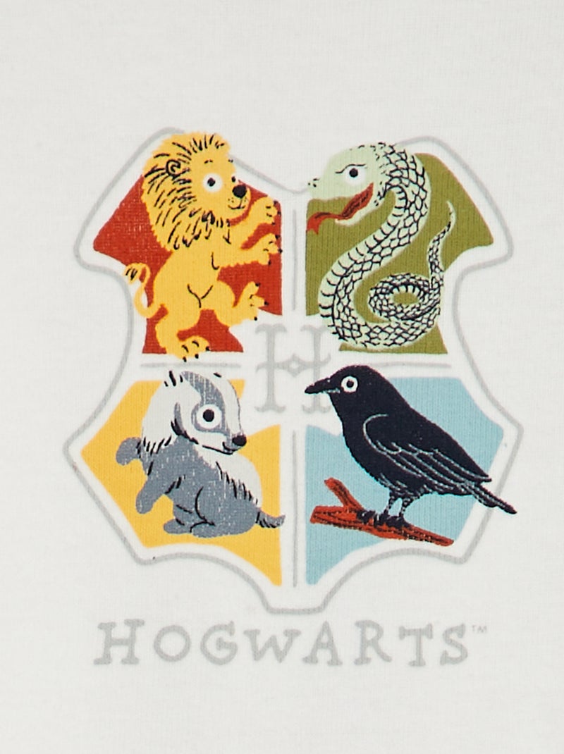 Lot de 2 bodies 'Harry Potter' Vert/blanc - Kiabi