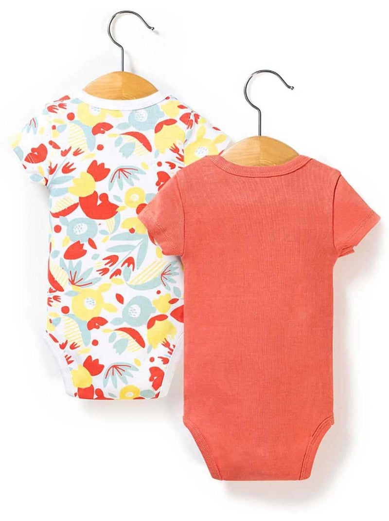 Lot de 2 bodies manches courtes - Terre de Marins Blanc - Kiabi