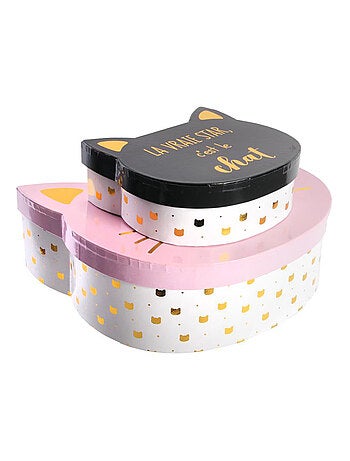 Lot de 2 boites de rangement pour enfant CAT