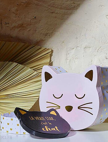 Lot de 2 boites de rangement pour enfant CAT