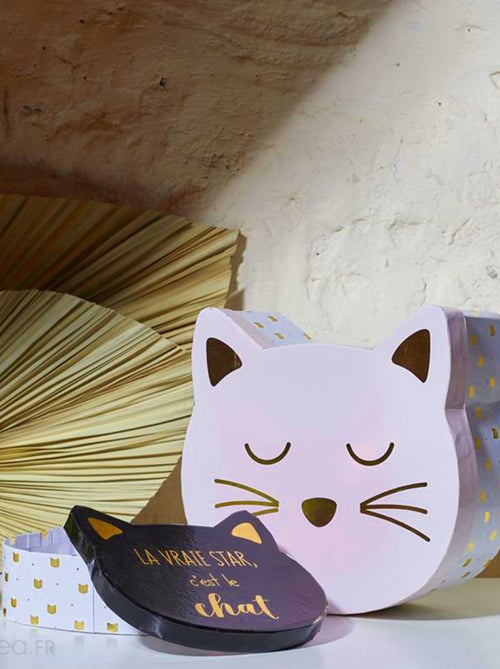Lot de 2 boites de rangement pour enfant CAT - Kiabi