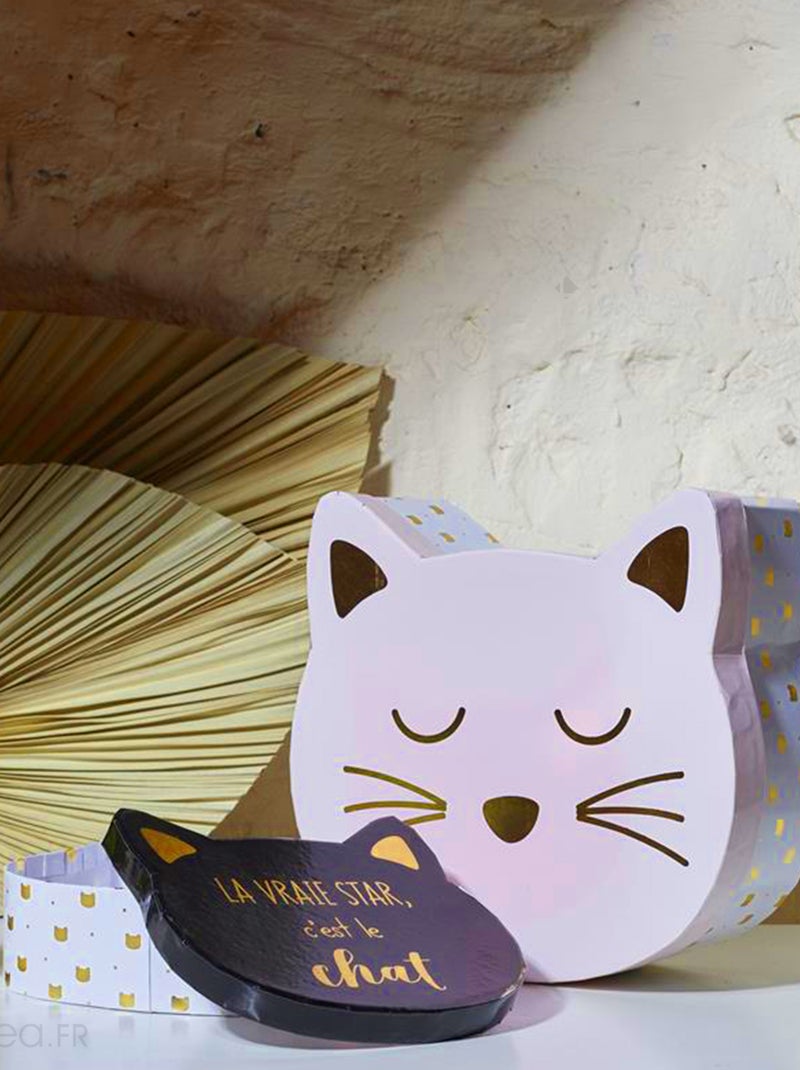 Lot de 2 boites de rangement pour enfant CAT Rose - Kiabi